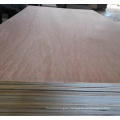 best price bintangor plywood ,waterproof plywood from linyi china manufacturer